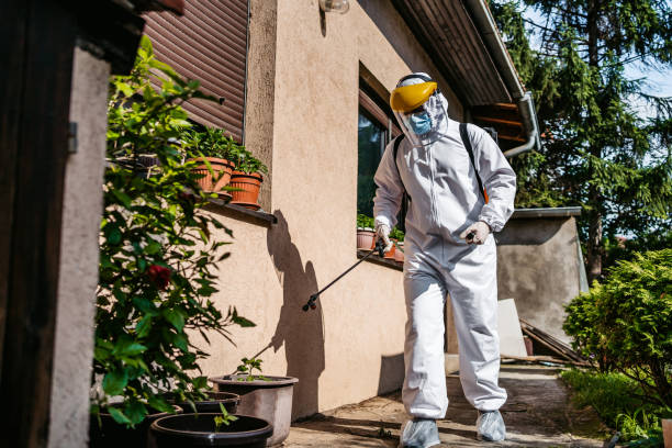 Best Pest Inspection Near Me  in Springmont, PA